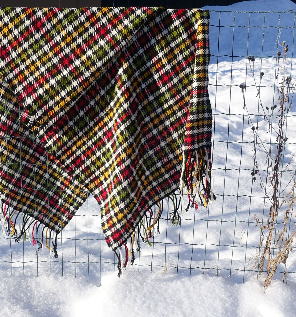 Halliste sõba, Paistu sõba, villane ruuduline õlakate.