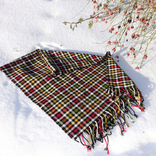 Sõbad-sallid-linikud